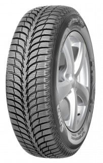 Sava Eskimo Ice 195/65/15